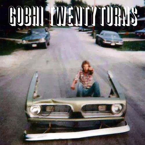 Twenty Turns by GOBHI